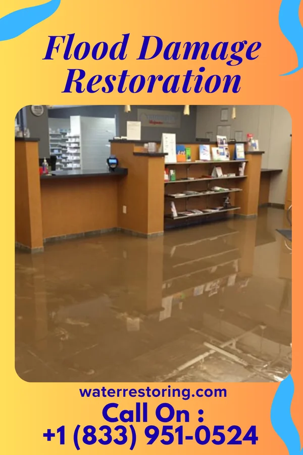 Flood Damage Restoration in West Monroe, MI