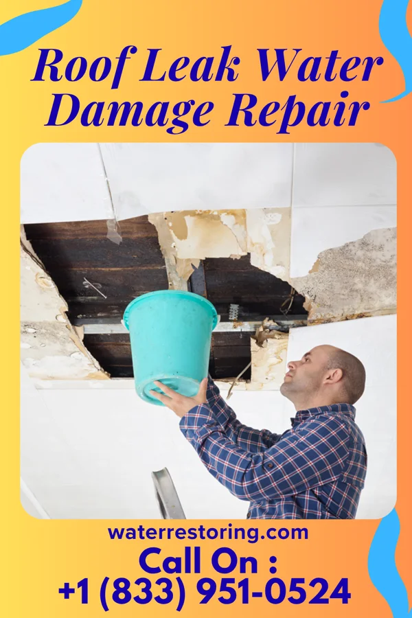 Roof Leak Water Damage Repair in West Monroe, MI